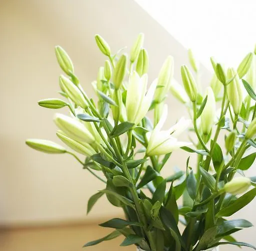 爱姆黑沃特斯图穆酒店 3* 安德纳赫